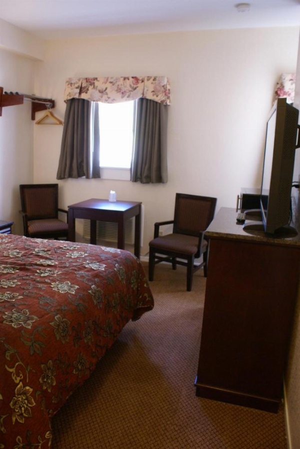 فندق هاربر فيو للأجنحة - مركز المؤتمرات - المطار - غازلامب - سي وورلد - حديقة الحيوان - حديقة بالبوا image 10