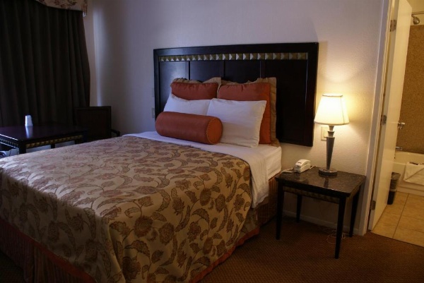 فندق هاربر فيو للأجنحة - مركز المؤتمرات - المطار - غازلامب - سي وورلد - حديقة الحيوان - حديقة بالبوا image 9